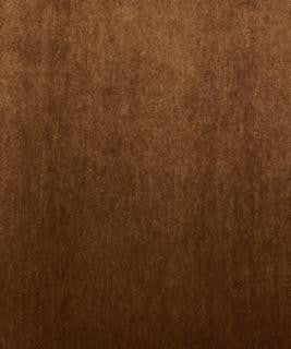 Desousa Fudge M7574 by Barrow Designer Fabric 1213 79% POLYESTER 21% RAYON CHINA 51,000 DOUBLE RUBS </p><p>Repeat: Horizontal: N/A and Vertical: N/A 54" Minimum - Swanky Fabrics -