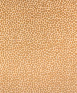 Bandelier Sand M9641 by Barrow Designer Fabric