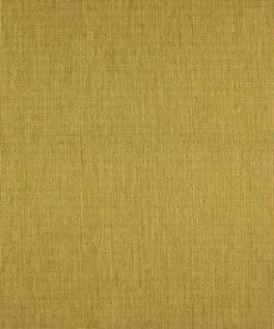 Croatan Alfalfa M8923 by Barrow Designer Fabric