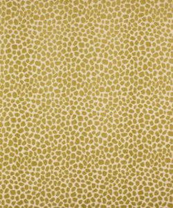 Perdita 12114 M9641 by Barrow Designer Fabric