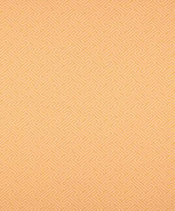 Transom Sunshine M9729 by Barrow Designer Fabric