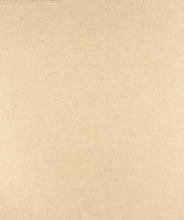 Drayton 41009 M9761 by Barrow Industries Designer Fabric Textures/Solids/17C04 78% POLYESTER (S)
15% POLYESTER (F)
7% LINEN Asia 27,000 DOUBLE RUBS Horizontal: - and Vertical: - 58" - Swanky Fabrics -