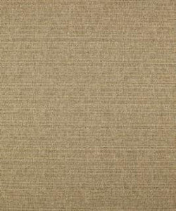 Caspian 11111 M10256 by Barrow Designer Fabric
