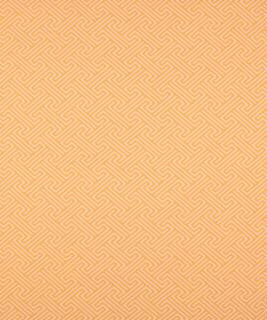 Transom Sunshine M9729 by Barrow Designer Fabric 15CL02 69% COTTON 31% POLYESTER (F) CHINA 50,000 DOUBLE RUBS </p><p>Repeat: Horizontal: 1 3/4" and Vertical: 1 7/8" 54" Minimum - Swanky Fabrics -