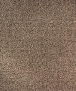 Liberate Birch M9877 by Barrow Designer Fabric 15C05 80% POLYESTER FILAMENT-TEXTURED 20% POLYESTER FILAMENT NON-TEXTURED CHINA 24,000 DOUBLE RUBS </p><p>Repeat: Horizontal: and Vertical: 54" Minimum - Swanky Fabrics -