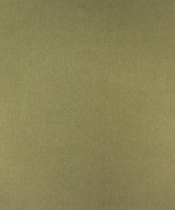 Enna 12103 M10078 by Barrow Designer Fabric
