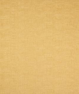 Caffeys Inlet Pollen M9047 by Barrow Industries Designer Fabric Textures/Solids/11C07 100% POLYESTER Asia 18,000 DOUBLE RUBS Horizontal: N/A and Vertical: N/A 57" - Swanky Fabrics -