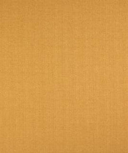 Danbury Golden M7286 by Barrow Designer Fabric