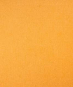 Saranac 51209 M9583 by Barrow Designer Fabric