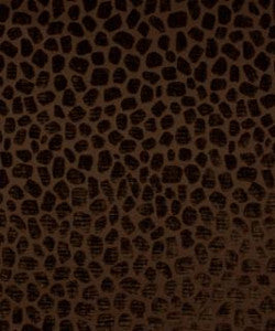 Tabitha Espresso M9252 by Barrow Designer Fabric