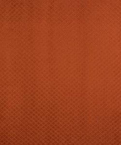 Tempo Tamale M8914 by Barrow Designer Fabric