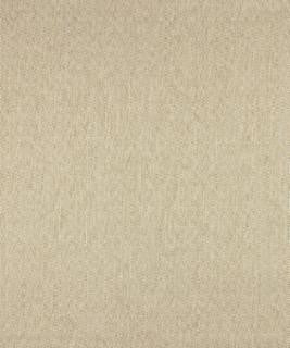Pupil 11111 M10310 by Barrow Designer Fabric 17CL09 79% POLYESTER (S) 21% POLYESTER (F) CHINA 50,000 DOUBLE RUBS </p><p>Repeat: Horizontal: 3/4" and Vertical: 3/4" 54" Minimum - Swanky Fabrics -
