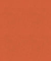 Goodrich 11505 M9989 by Barrow Designer Fabric