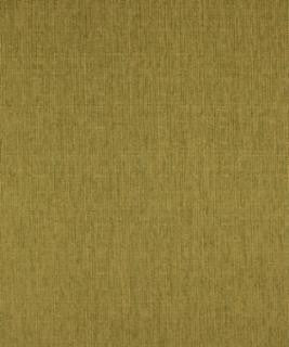 Galley Lime M8925 by Barrow Industries Designer Fabric Transitional/15CL02 100% POLYESTER Asia 12,000 DOUBLE RUBS Horizontal: N/A and Vertical: N/A 57" - Swanky Fabrics -