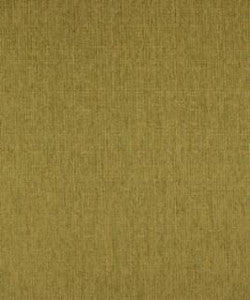 Galley Lime M8925 by Barrow Designer Fabric