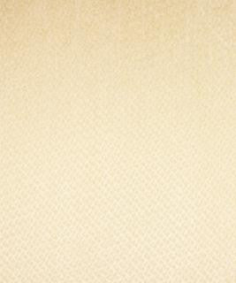 Exclaim Ivory M6795 by Barrow Designer Fabric 13C01 70% RAYON
19% POLYESTER
11% COTTON CHINA 39,000 DOUBLE RUBS </p><p>Repeat: Horizontal: N/A and Vertical: N/A 54" Minimum - Swanky Fabrics -