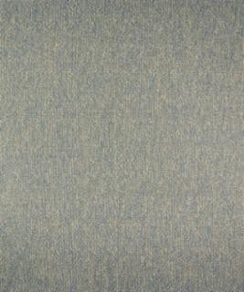 Naugatuck 12003 M9887 by Barrow Industries Designer Fabric Textures/Solids/16C04 66% POLYESTER (S)
34% POLYESTER (F) Asia 30,000 DOUBLE RUBS Horizontal: - and Vertical: - 57" - Swanky Fabrics -