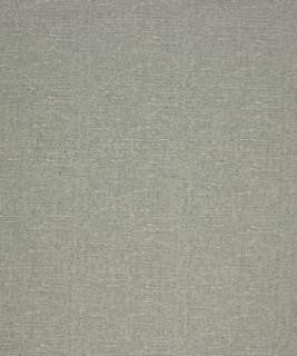 Philander 12103 M10542 by Barrow Industries Designer Fabric Textures/Solids/18C10 55% POLYESTER (F)
42% POLYESTER (S)
3% ACRYLIC (F) Asia 36,000 DOUBLE RUBS Horizontal: - and Vertical: - 58" - Swanky Fabrics -