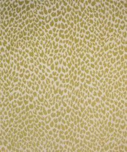 Los Gatos Kiwi M9818 by Barrow Designer Fabric