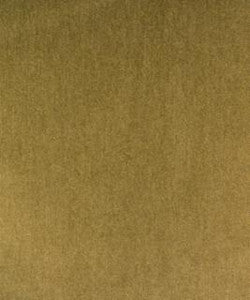 Basswood Fern M9589 by Barrow Designer Fabric