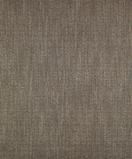 Zorba 32306 M9444 by Barrow Industries Designer Fabric Transitional/18CL06 60% RAYON (S)
40% POLYESTER (F) Asia 50,000 DOUBLE RUBS Horizontal: N/A and Vertical: N/A 56" - Swanky Fabrics -