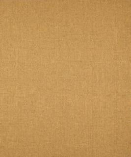 Thick And Thin Golden M9269 by Barrow Designer Fabric 12CL06 100% POLYESTER FILAMENT-TEXTURED CHINA 50,000 DOUBLE RUBS </p><p>Repeat: Horizontal: N/A and Vertical: N/A 54" Minimum - Swanky Fabrics -