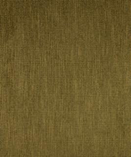 Irena Lichen M8120 by Barrow Designer Fabric 2813 54% RAYON
29% POLYESTER
17% COTTON CHINA 12,000 DOUBLE RUBS </p><p>Repeat: Horizontal: N/A and Vertical: N/A 54" Minimum - Swanky Fabrics -