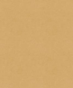 Counterpoint 21005 M9989 by Barrow Designer Fabric