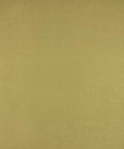 All-Star Verde M6802 by Barrow Designer Fabric