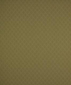 Upton Sage M6635 by Barrow Designer Fabric