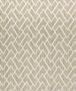 Adonis 11012 M10396 by Barrow Industries Designer Fabric Transitional/18CL07 60% POLYESTER
40% COTTON Asia 24,000 DOUBLE RUBS Horizontal: 13 1/2" and Vertical: 13 1/2" 57" - Swanky Fabrics -