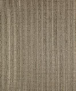 Playground 12304 M9488 by Barrow Designer Fabric 18CL06 51% POLYESTER
49% RAYON CHINA 15,000 DOUBLE RUBS </p><p>Repeat: Horizontal: N/A and Vertical: N/A 54" Minimum - Swanky Fabrics -