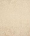 Manama 31001 M10387 by Barrow Designer Fabric