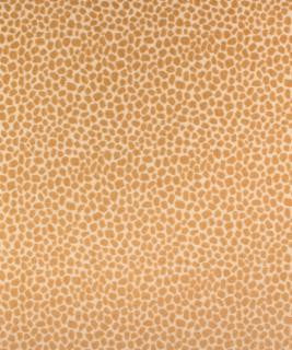 Bandelier Sand M9641 by Barrow Designer Fabric 14CL03 100% POLYESTER CHINA 12,000 DOUBLE RUBS </p><p>Repeat: Horizontal: 6 3/4" and Vertical: 6 3/4" 54" Minimum - Swanky Fabrics -