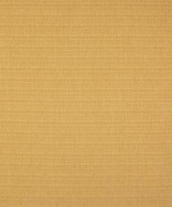 Perez Plantain M9062 by Barrow Designer Fabric