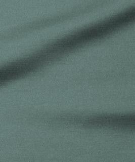 Cosmic Rays 32004 M10799 by Barrow Industries Designer Fabric 21CL04 100% POLYESTER FILAMENT NON-TEXTURED CHINA </p><p>Repeat: Horizontal: and Vertical: 54" Minimum - Swanky Fabrics -