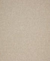 Ritzy 11302 M10581 by Barrow Designer Fabric