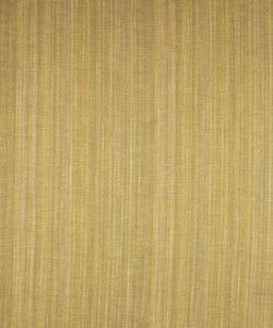 Carova Sprout M8904 by Barrow Designer Fabric