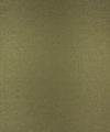 Forman 12105 M9946 by Barrow Designer Fabric