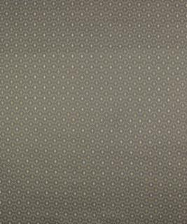Cerritos Fog M9072 by Barrow Industries Designer Fabric Transitional/1569 54% RAYON (S)
46% POLYESTER (F) Asia 30,000 DOUBLE RUBS Horizontal: 0-3/4" and Vertical: 0-7/8" 57" - Swanky Fabrics -