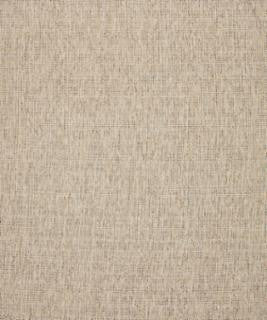 Throttle 21011 M10520 by Barrow Industries Designer Fabric 22C02 69% POLYESTER FILAMENT NON-TEXTURED | 31% POLYESTER FILAMENT-TEXTURED CHINA </p><p>Repeat: Horizontal: and Vertical: 54" Minimum - Swanky Fabrics -