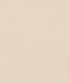 Counterpoint 31002 T11398 by Barrow Industries Designer Fabric