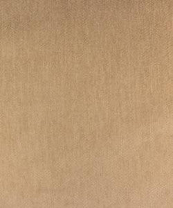Tuliptree Parchment M9588 by Barrow Designer Fabric