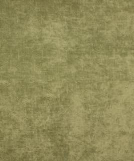 Shine Fern M9276 by Barrow Designer Fabric 12C01 93% POLYESTER 7% NYLON CHINA 30,000 DOUBLE RUBS </p><p>Repeat: Horizontal: and Vertical: 54" Minimum - Swanky Fabrics -