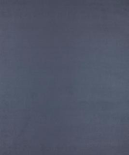 All-Star Lapis M6802 by Barrow Designer Fabric 12CL06 56% POLYESTER (S) 44% POLYESTER (F) CHINA 40,000 DOUBLE RUBS </p><p>Repeat: Horizontal: N/A and Vertical: N/A 54" Minimum - Swanky Fabrics -