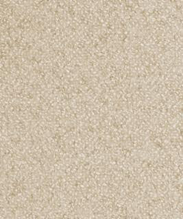 Genesis 1101 M11113 by Barrow Industries Fabric Barrow Industries Fabric Genesis 1101 M11113Fabric DRS GENESIS 100% POLYESTER Imported </p><p>Repeat: H: , V: 56" - Fabric Carolina -