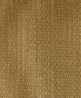Embody Dune M8118 by Barrow Designer Fabric 13C01 65% RAYON
35% POLYESTER CHINA 12,000 DOUBLE RUBS </p><p>Repeat: Horizontal: N/A and Vertical: N/A 54" Minimum - Swanky Fabrics -