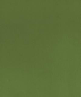 Santiago 12105 M10751 by Barrow Industries Designer Fabric 21C11 100% POLYESTER KNIT PILE FABRIC CHINA </p><p>Repeat: Horizontal: and Vertical: 54" Minimum - Swanky Fabrics -