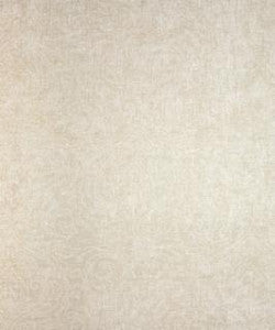 Comet 11102 T11788 by Barrow Industries Designer Fabric