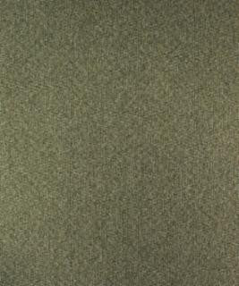 Astral 12114 M10070 by Barrow Designer Fabric 17C06 79% POLYESTER FILAMENT-TEXTURED
21% POLYESTER FILAMENT NON-TEXTURED CHINA 51,000 DOUBLE RUBS </p><p>Repeat: Horizontal: and Vertical: 54" Minimum - Swanky Fabrics -